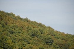 Am Edersee (66)